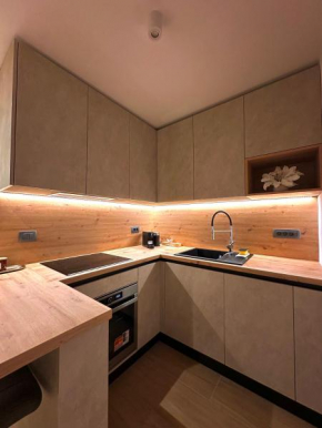 Cozy Studio Apartment